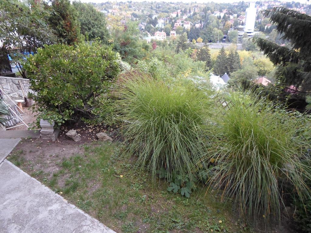 Panorama Szallas Miskolc Dış mekan fotoğraf